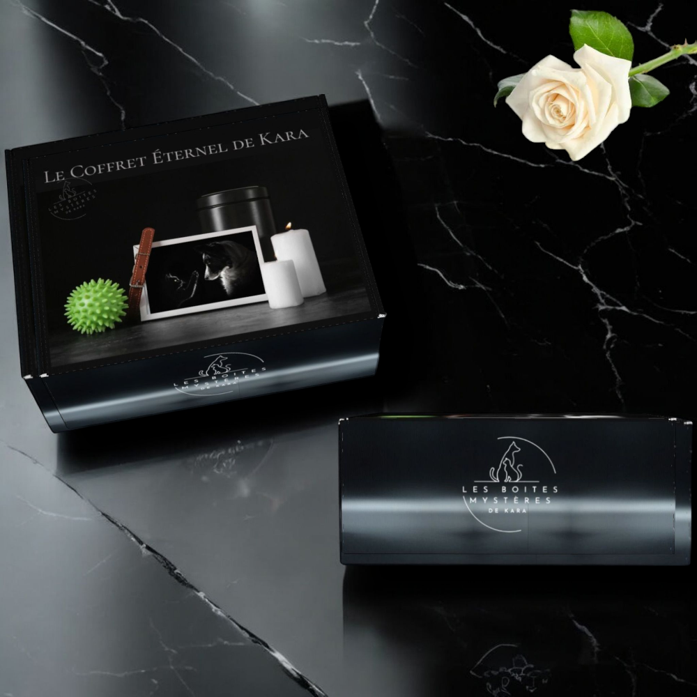 🖤 La Coffret Éternel – Un hommage à votre fidèle compagnon 🖤