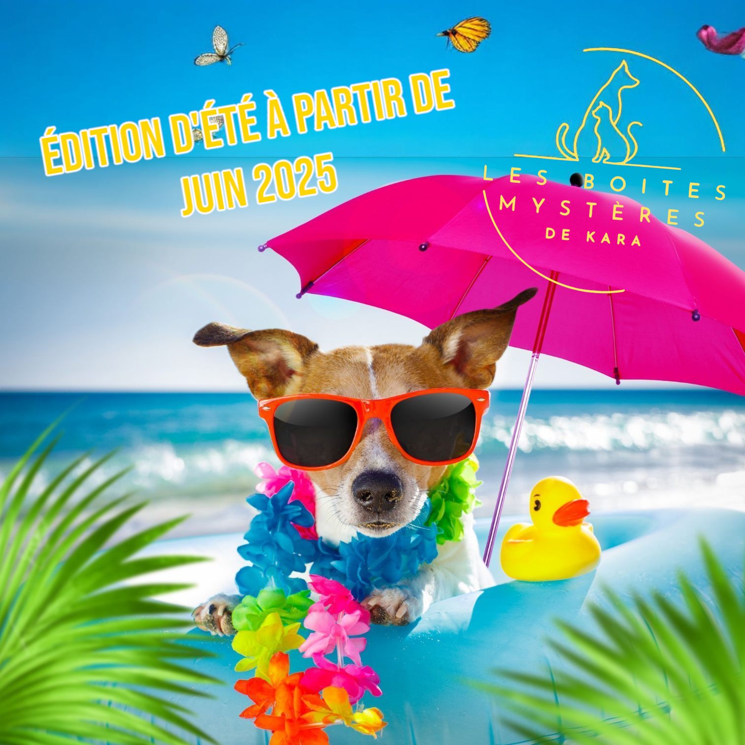 Seasonal summer edition box for cats and dogs
