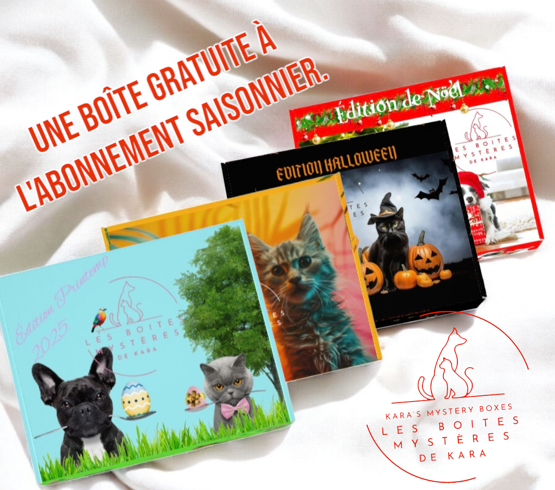 Plan Annuel : 4 boîtes 4 saisons avec promo, 1 boîte gratuite.