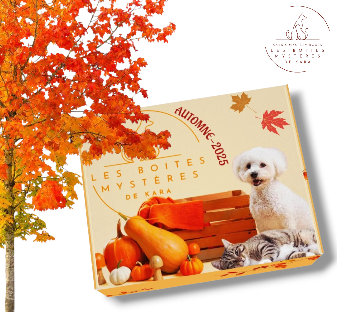 🍁🐾 La boîte saisonnière d’automne est arrivée!