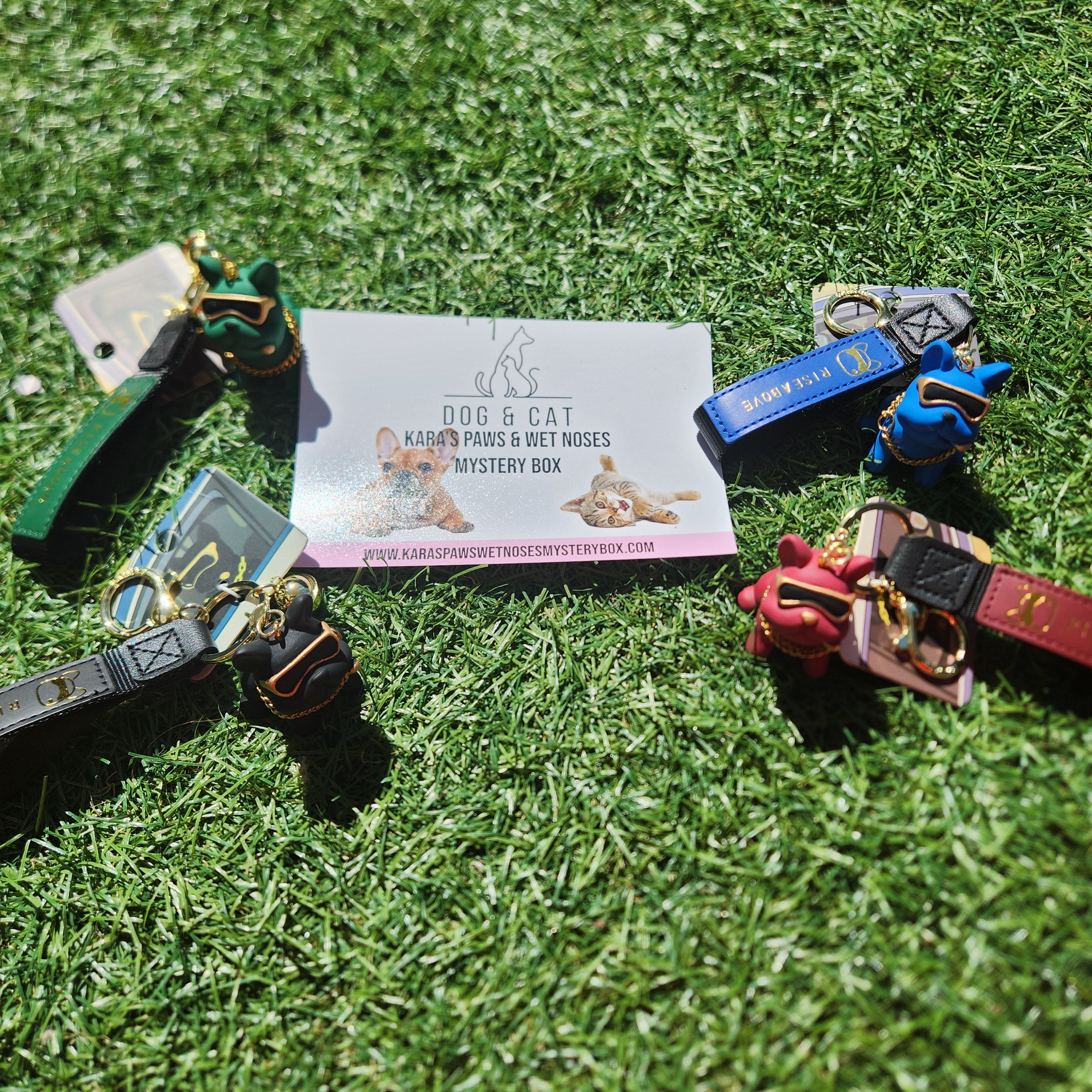 Colorful Bulldog and Cat keychains displayed on grass with a Dog & Cat mystery box card. Premium accessories for pet lovers.