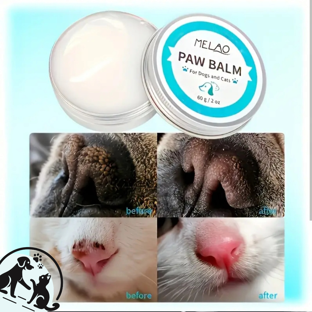 Paw balm for cats and dogs