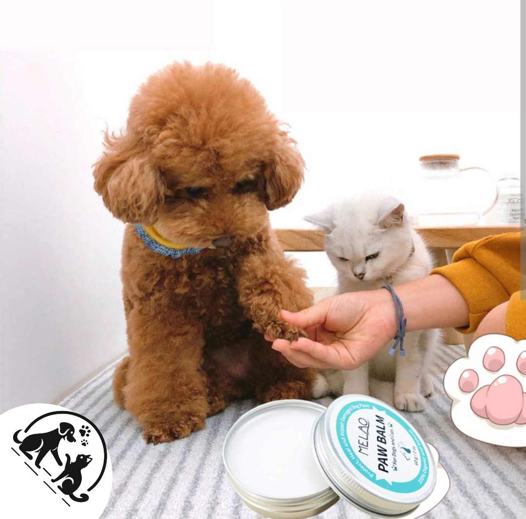 Paw balm for cats and dogs