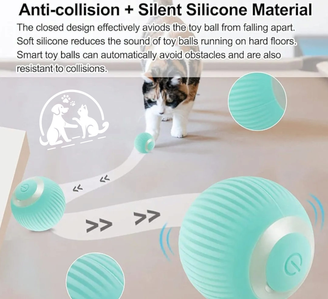 Smart and fun cat ball