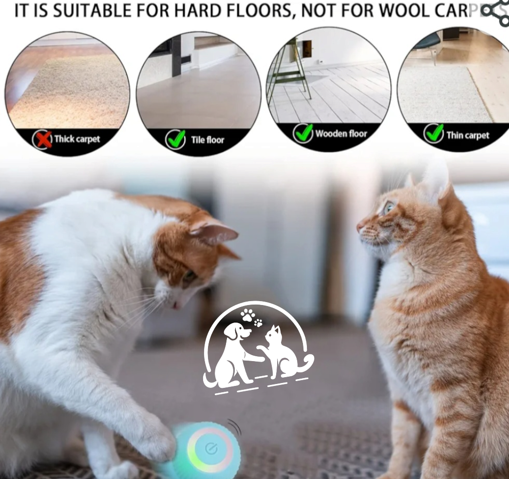 Balle Intelligente et amusante pour Chat