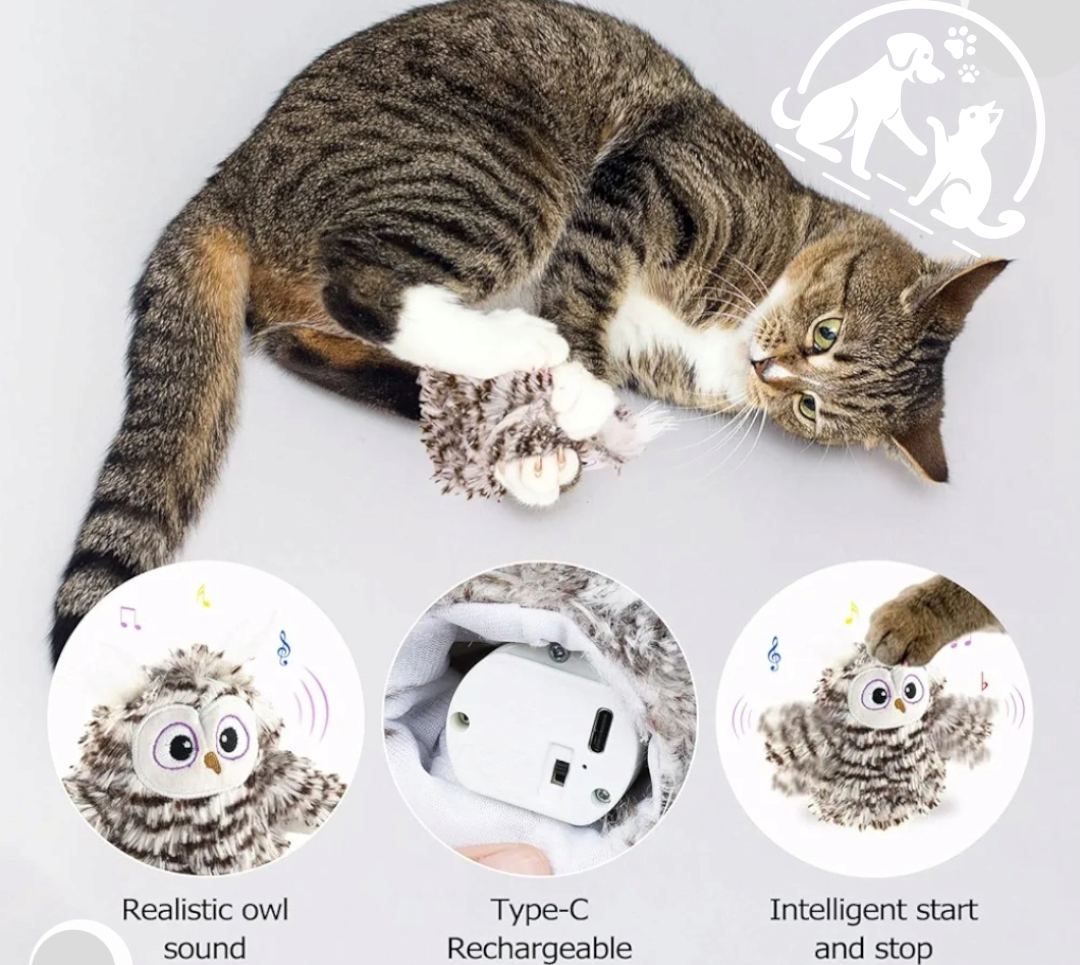 Interactive Owl Toy for Cats