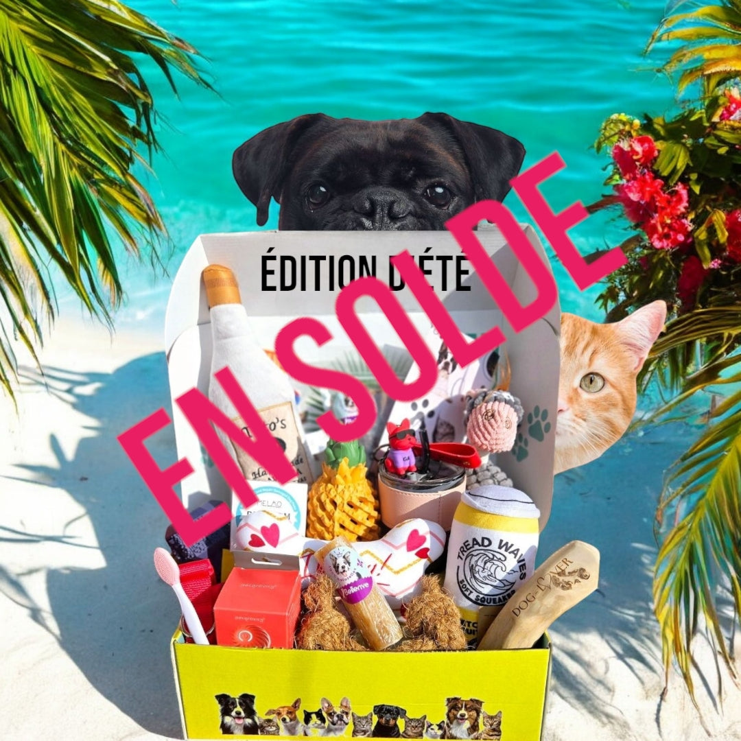 Boîte saisonnière édition estivale pour chats et chiens