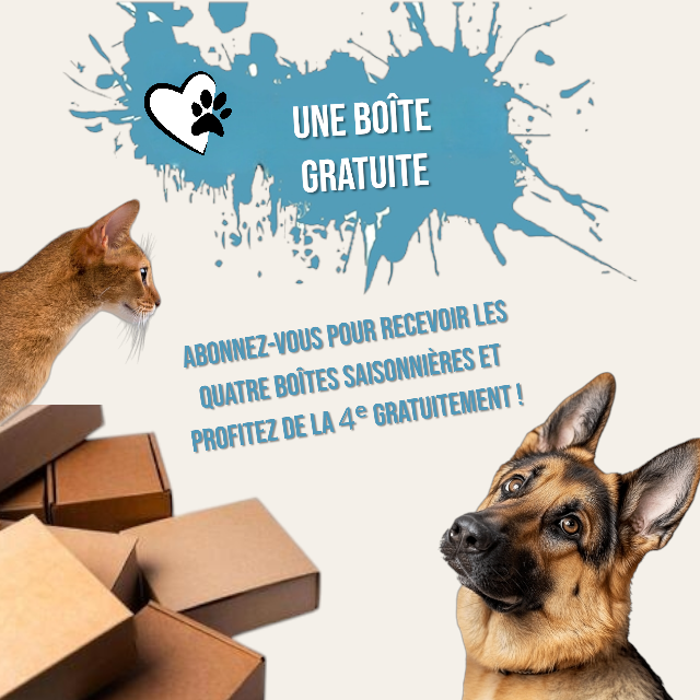 Plan Annuel : 4 boîtes 4 saisons avec promo, 1 boîte gratuite.